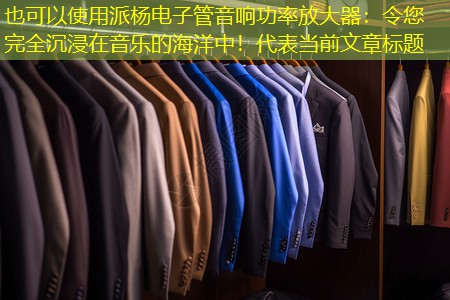 派杨电子管音响功率放大器：令您完全沉浸在音乐的海洋中！